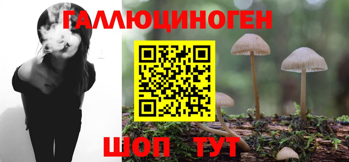 Псилоцибиновые грибы мицелий Костомукша