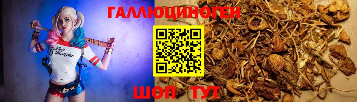 даркнет сайт  Вход с VPN  Галлюциногенные грибы мухоморы  Костомукша  Псилоцибиновые грибы MAGIC MUSHROOMS 